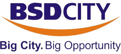BSD-City